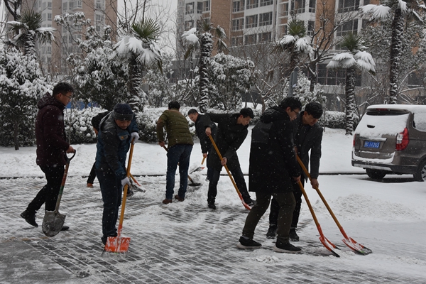 2.公司志愿者冒雪開展義務掃雪活動.jpg