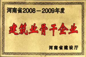 2008-2009建筑業(yè)骨干企業(yè)